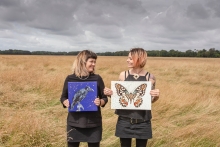EXHIBITION: "Wee Winged Wild Wonders" by Orla Mellon and Ali-P